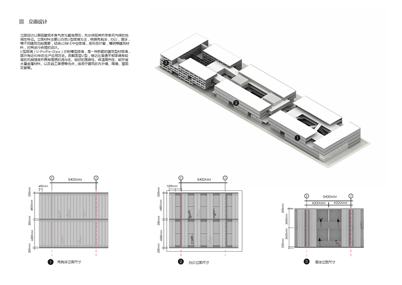 凤凰机场16.jpg